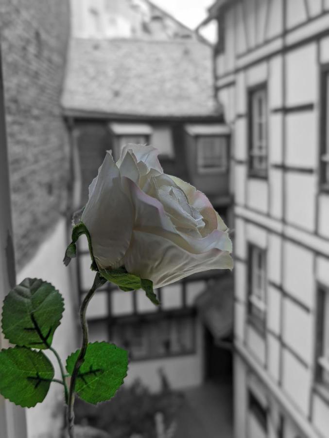 Citycosy Strasbourg - Authentique Batelier Exterior foto