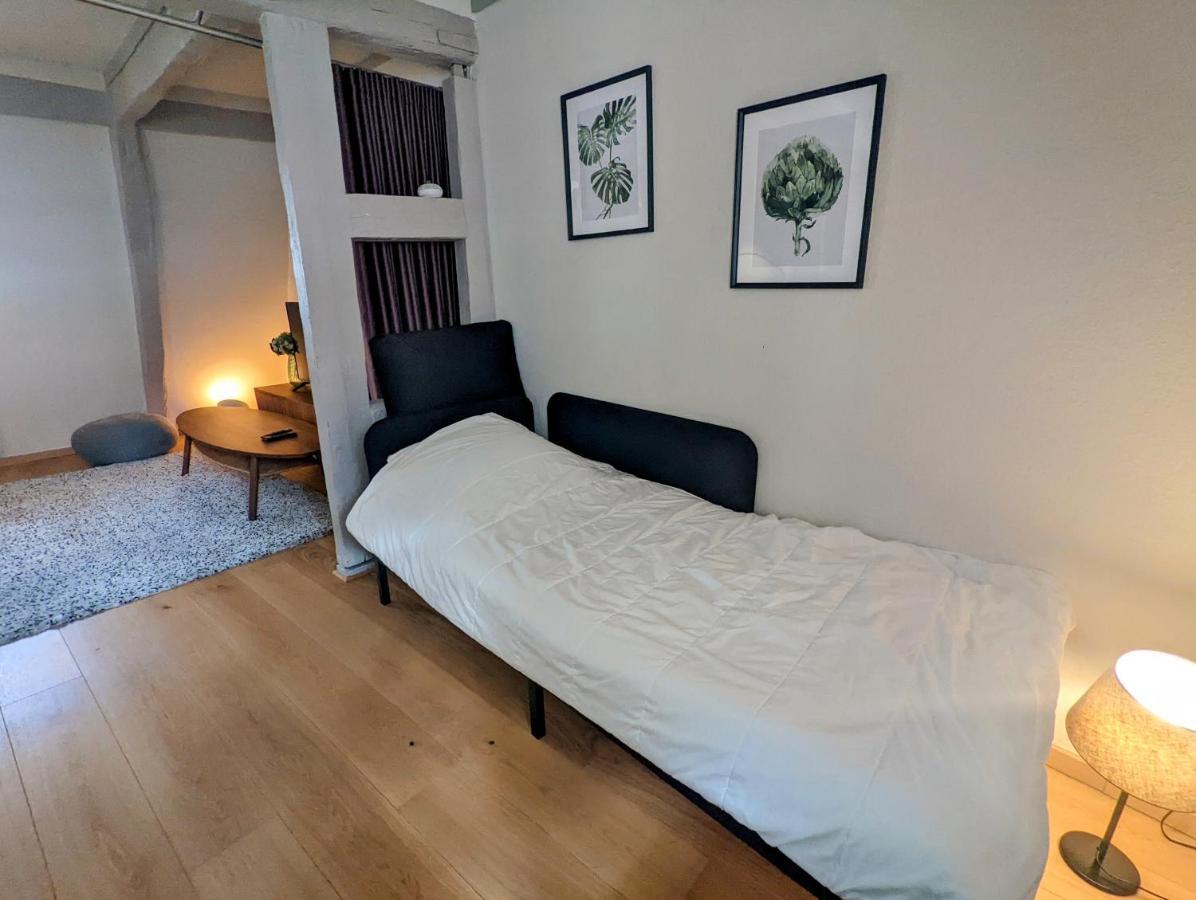 Citycosy Strasbourg - Authentique Batelier Exterior foto